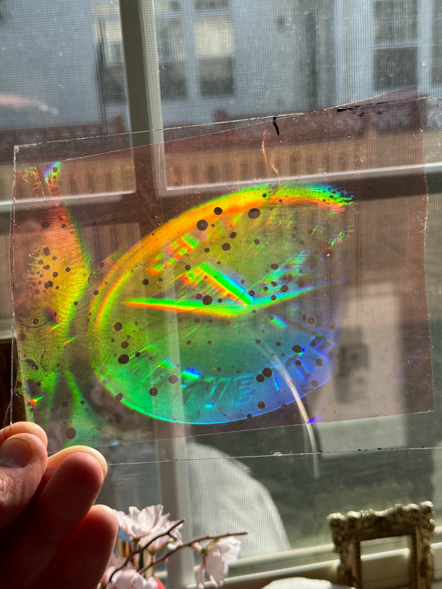 Hologram - Corvette Emblem ~4”x5” Rainbow
