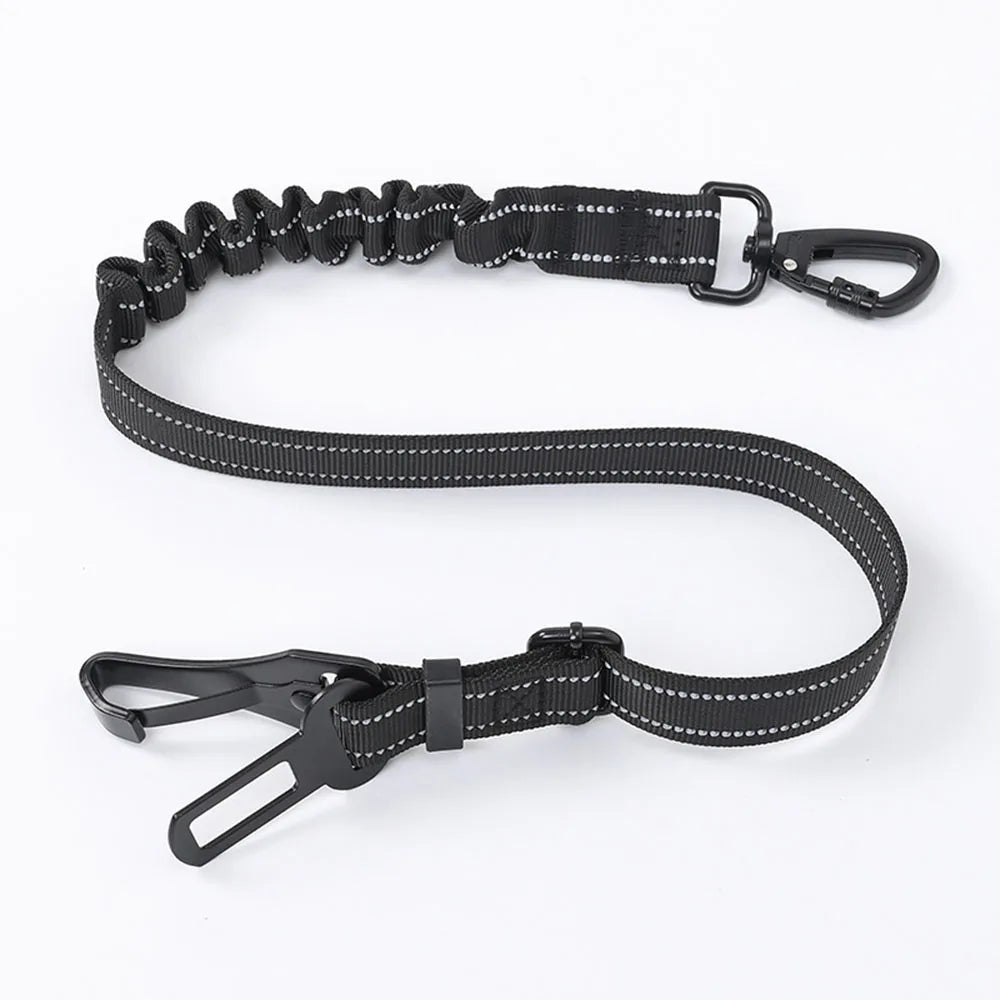 44456583725293