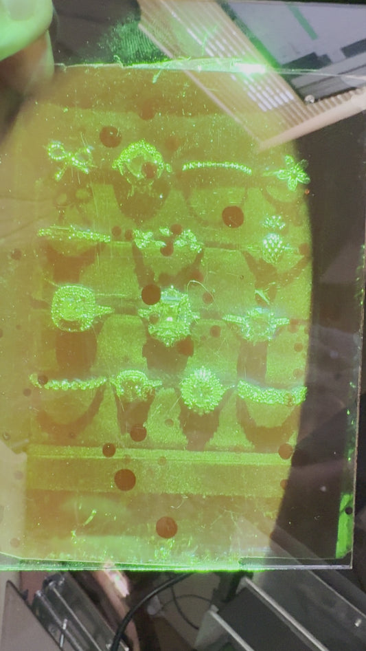 Hologram — Ring Collection in Green on Glass ~4”x5”