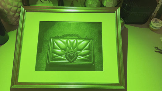 Hologram - Green Dolce & Gabbana Purse (8” x 10”) on Silver Halide Glass